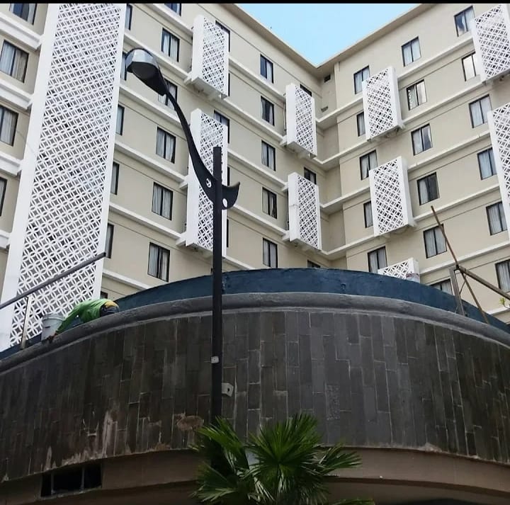 whatsapp image 2025 09 13 at 19.44.13 df26cf73 whatsapp image 2025 09 13 at 19.44.13 df26cf73